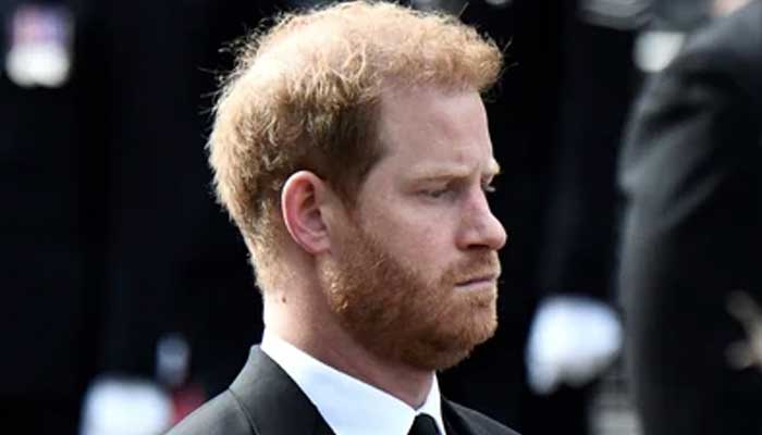 Prince Harry describes himself as humanitarian, military veteran, mental wellness advocate in Spare