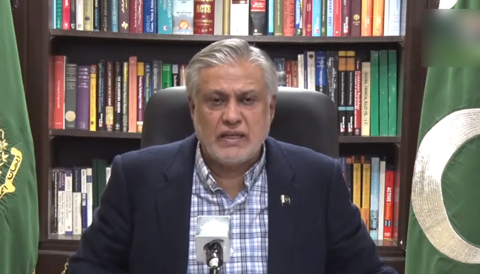 Federal Minister for Finance and Revenue Ishaq Dar speaking during a televised address on October 31, 2022. — YouTube Screengrab via PTV News