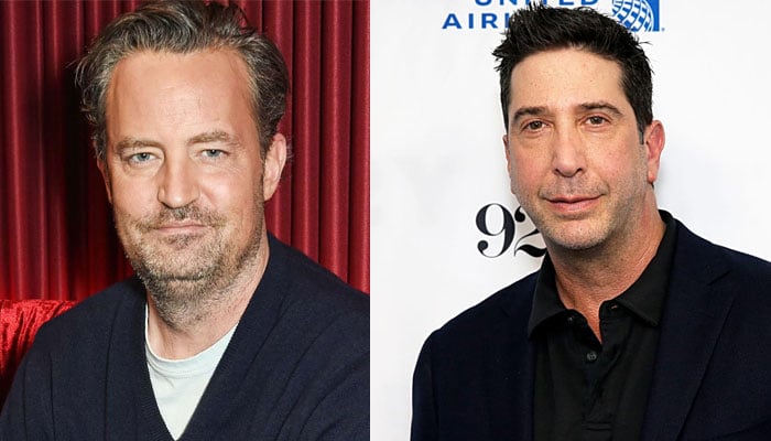 Matthew Perry credits David Schwimmer for big pay cheques at ‘Friends’
