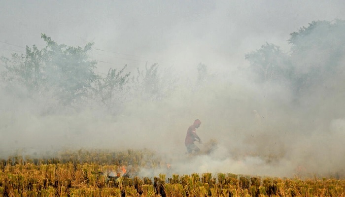 The burning of rice paddies after harvests across northern India takes place every year. — AFP