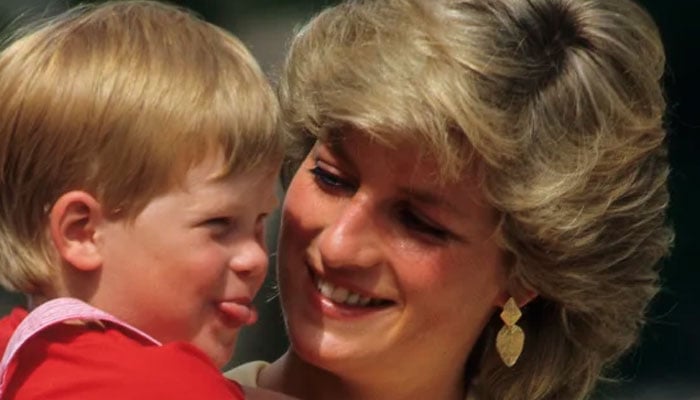 Prince Harry used Princess Diana's death as a taster for his memoir