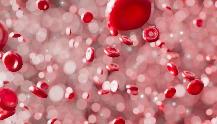 An illustration of red blood cells.— Unsplash