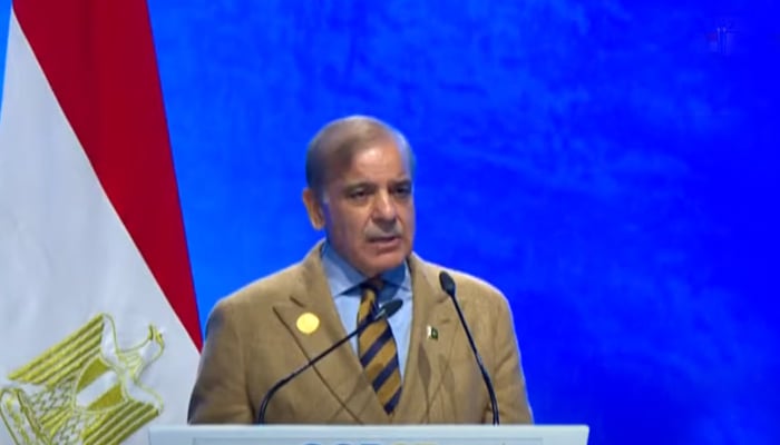 Prime Minister Shehbaz Sharif presents Pakistans stance at the COP27 UN climate summit in Egypt, on November 8, 2022. — YouTube/PTVNewsLive