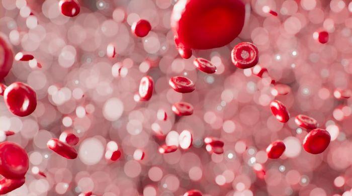 Lab-grown blood transfused into patients first time in history