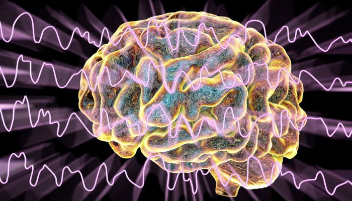 Beyin dalgası okuma implantı, felçli adamın 1.100 kelimeyi hecelemesini sağlar