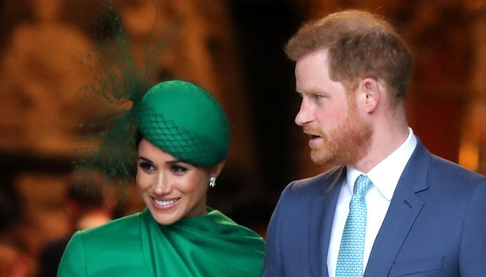 Prince Harry, Meghan Markle 'addicted to drama', royal expert says