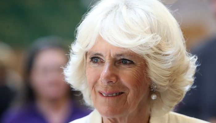 Queen Consort Camilla tampongate branded phone hacking of modern times