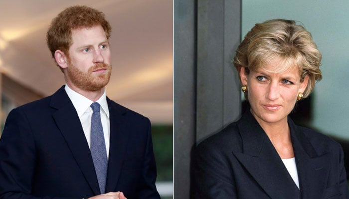 Princess Diana would give Prince Harry round of applause for memoir?