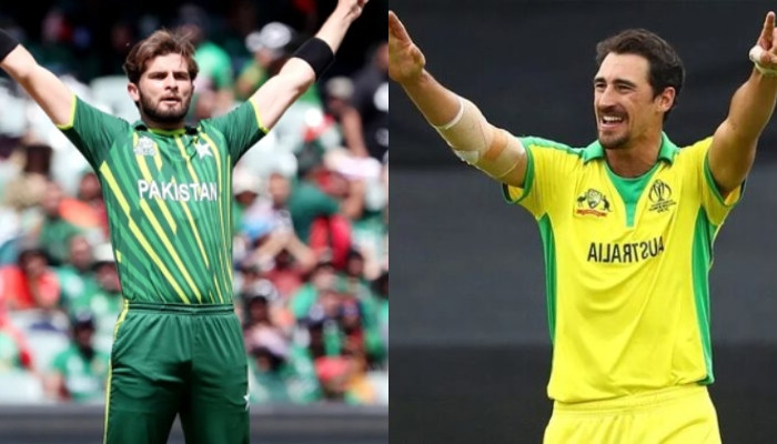 Shaheen or Mitch Starc: Which left-arm pacer's yorker will Kane Williamson pick