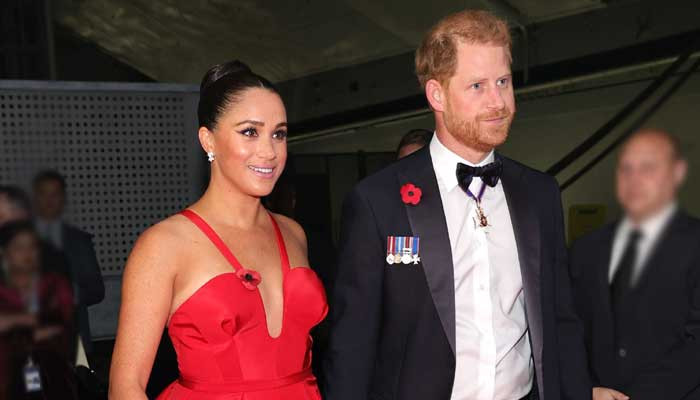 Prince Harry, Meghan Markle branded ‘very brazen’ to take a dig at royal family