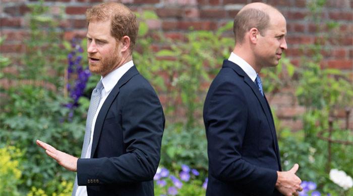 Prince Harry finally accepts Prince William’s proposed deal to end feud