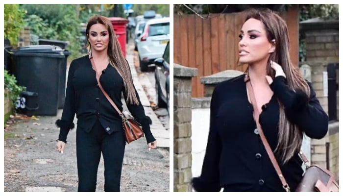Katie Price sends pulses racing while showing off her new brunette hairdo