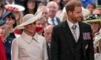 ‘Meghan Markle and Prince Harry are a polarising couple’
