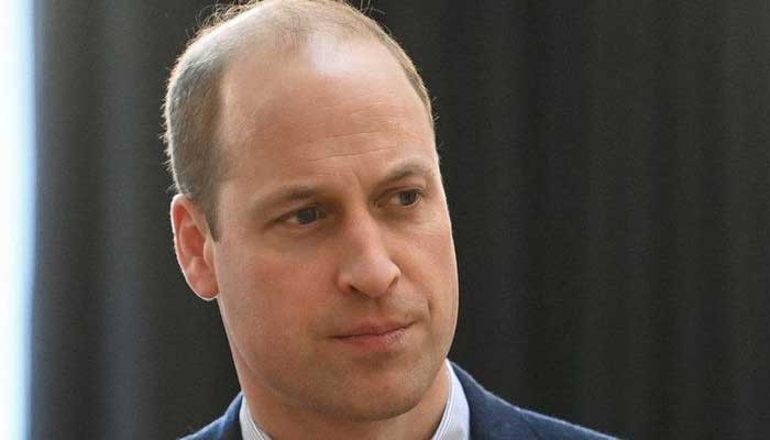 Prince William lambasts his godmother Lady Hussey over claims of racism