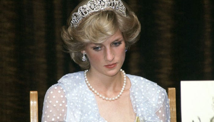 Reason Princess Diana did not like Prince William godmother Lady Susan Hussey