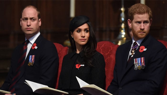Prince Harry, Meghan Markle released the trailer for their Netflix doc a day before Prince Williams Earthshot event