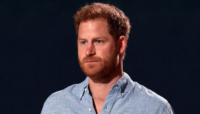 Prince Harry was blasted by a royal expert for attempting to ‘destroy the Windsors’ with his Netflix docuseries