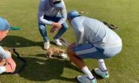 VIDEO: Joe Root feeding kitten at Pindi stadium wins hearts