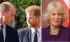Prince William, Harry carrying out Diana’s revenge against Queen Camilla?