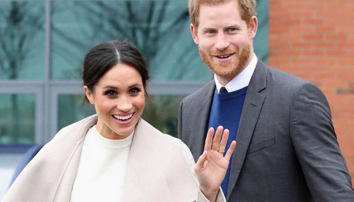 Why Prince Harry, Meghan Markle want to make Netflix docuseries?
