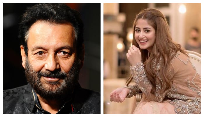 Sajal Aly will be starring in film Whats Love Got To Do With It which is directed by Shekhar Kapur