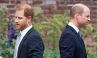 Prince Harry accused of ‘jumping on and hijacking’ Prince William’s US trip