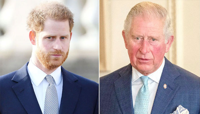 Prince Harry needs to 'tread carefully' with Camilla: 'Charles planning to pounce'