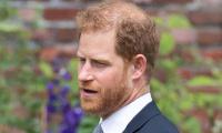 Prince Harry slammed for ‘using his family’ for ‘disgusting’ Netflix show