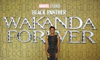 'Black Panther: Wakanda Forever' continues to rule box office in North America 