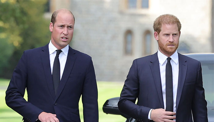 Prince Harry couldve stopped Netflix from releasing trailers for his docu while William was in US, as per experts