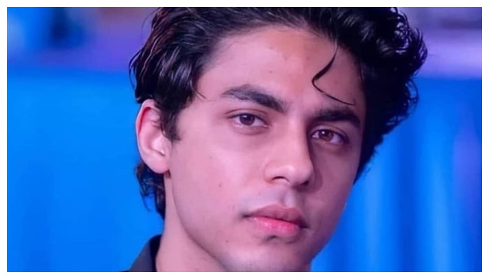 Aryan Khan;s mother Gauri Khan shows excitement on the completion his script