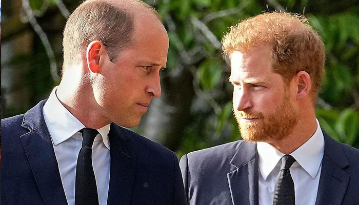 Prince Harry and William were reportedly at ‘each other’s throats’ at their grandfather Prince Philip’s funeral in 2021