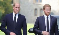 Prince Harry Had Power To Stop Netflix Trailer Release On William’s US Visit?