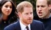 Prince Harry’s friends ‘understand’ William's frustration with Meghan Markle