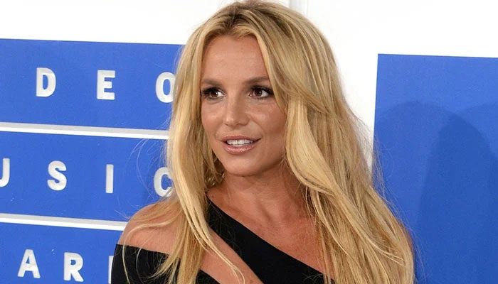 Britney Spears former makeup artist weighs in on singer’s ‘well-publicised breakdown’