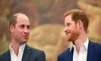 Prince William to issue statement on Meghan and Harry's documentary as his patience wears thin 