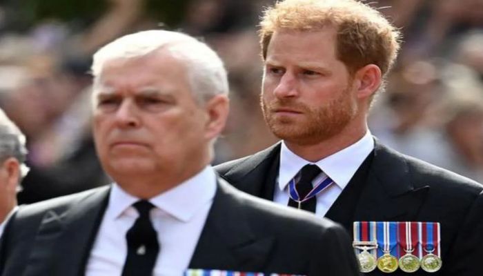 Prince Harry and Andrew defanged after new bill receives royal assent