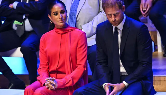 Meghan Markle friend says it is all my fault for Prince Harry date night