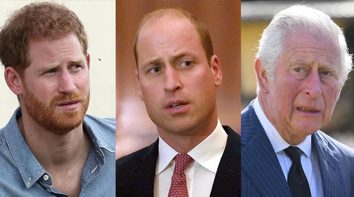 Prince Harry claims Charles, William didn’t marry who they’re ‘destined ...