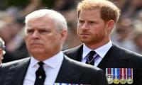 Prince Harry And Andrew Defanged After New Bill Receives Royal Assent 