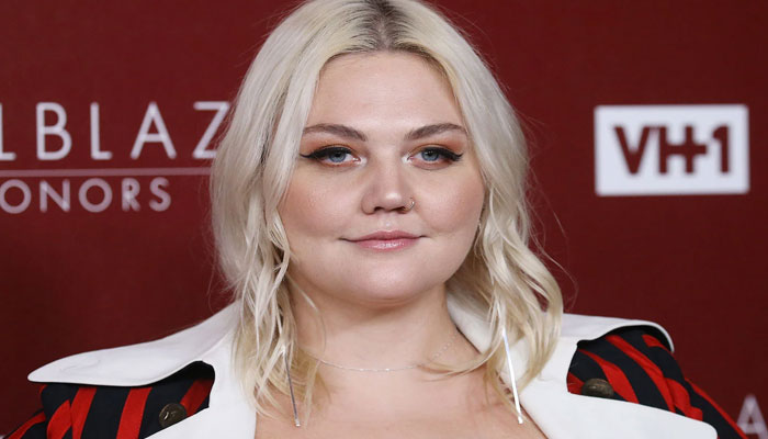 Elle King cancels several of her shows after suffering head concussion