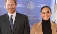 Prince Harry, Meghan Markle ‘obliterating’ people who ‘can’t fight back’