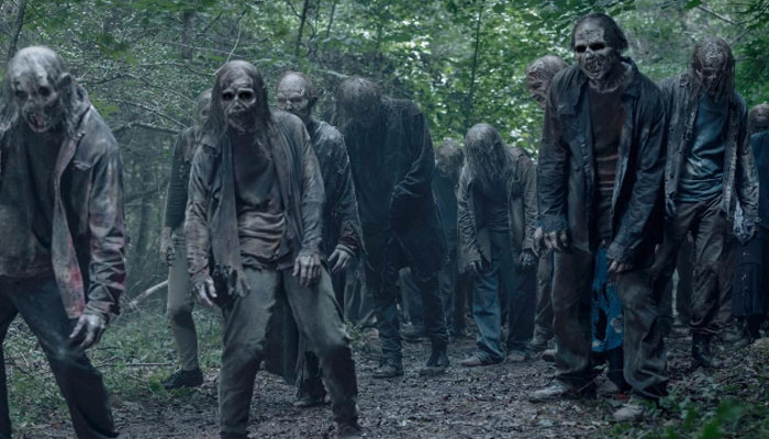 Netflixs The Walking Dead confirmed the release date