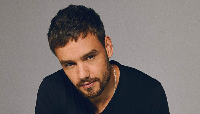 Liam Payne says he thought his fans turned on him after One Direction feud