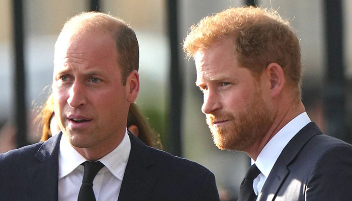 Le prince William ne pardonnera jamais à Harry d’avoir vendu ses secrets et ceux de Kate