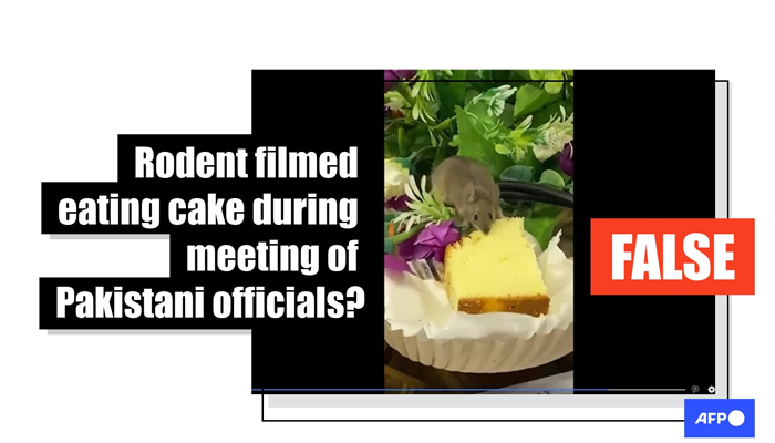 Rodent filmed eating a cake during meeting of Pakistan officials? — AFP