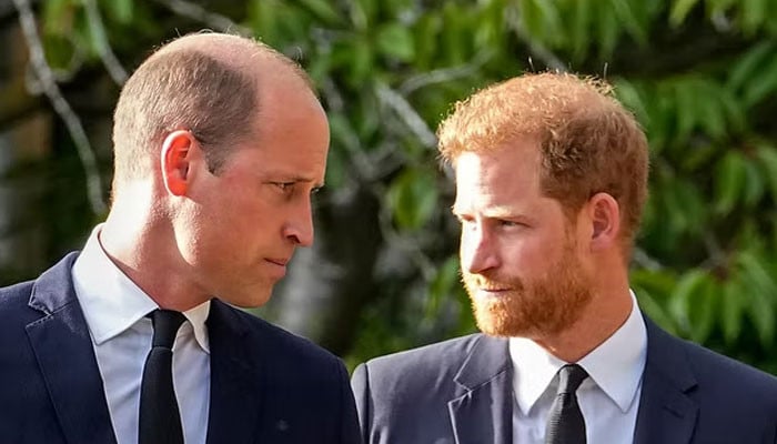 Prinz William versucht, „hart“ zu sein, während Harry weiterhin Bomben wirft