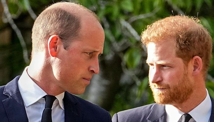 Prince Harry and Meghan Markle’s Netflix docuseries featured an allegedly explosive text from Prince William