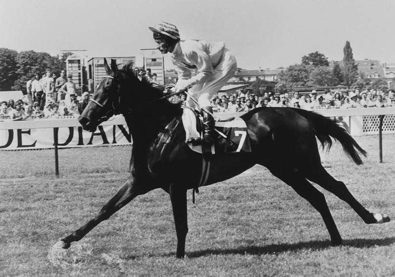 Lester Piggott rode a record nine Epsom Derby winners and is widely regarded as the greatest jockey of all time.— AFP