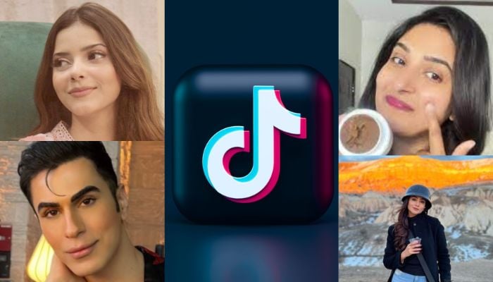 21 of the Most Popular TikTok Songs and Sounds, Where They Came From